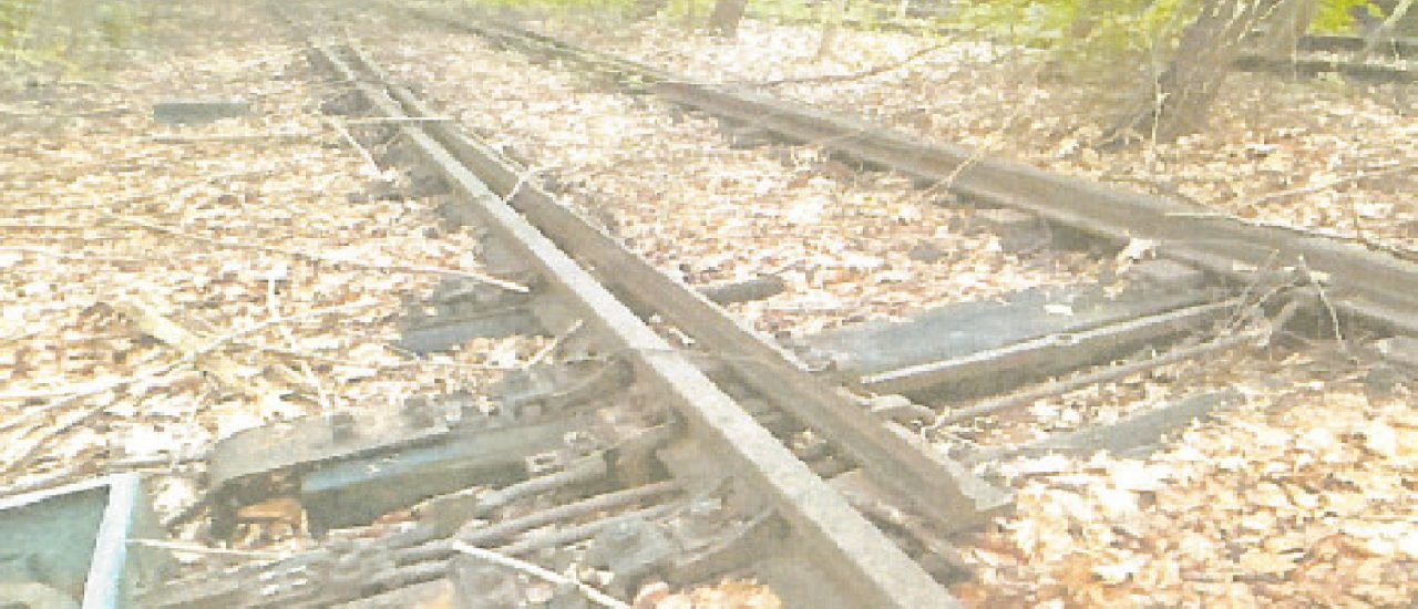 Dies & Das + Nachrichten